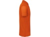 Polo bio homem Cores