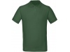 Polo bio homem Cores