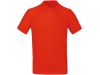 Polo bio homem Cores