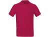 Polo bio homem Cores