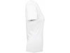 T-shirt de senhora bio Inspire Plus Cores