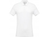 Polo piqu de homem de manga curta Branco