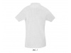 PLO PARA HOMEM CORES PERFECT MEN 3XL 4XL