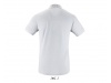 PLO PARA HOMEM CORES PERFECT MEN 3XL 4XL