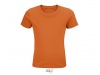 T-SHIRT JERSEY COM PESCOO REDONDO PARA CRIANAS PIONNER KIDS Cores