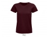 T-shirt PIONEER WOMEN Cores