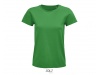 T-shirt PIONEER WOMEN Cores