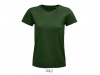 T-shirt PIONEER WOMEN Cores