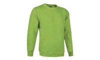 Sweatshirt 295gr/m2 DUBLIN Criana