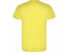 T-SHIRT AKITA Adulto