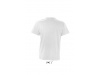 T-SHIRT COM GOLA EM V PARA HOMEM CORES VICTORY