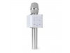 MICROFONE DE KARAOKE